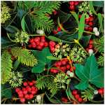 Weihn.Zelltuchserviette 33x33cm HOME F. 612100 3lag