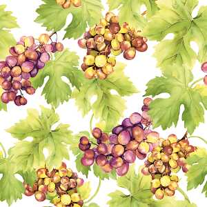 Serviette 24x24cm FSC-Mix Grapes