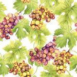 Serviette 24x24cm FSC-Mix Grapes