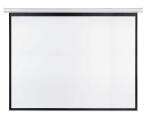 Projektionsleinwand elektr.4:3 FRANKEN LWE23022 300x235cm