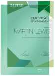 Leitz 4153 Sichthülle Super Premium, A4, PVC, dokumentenecht, grün