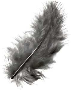 KNORR PRANDELL 216619002 Marabufedern ca. 10 cm weiss