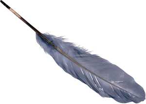 KNORR PRANDELL 216620000 Gänsefedern ca. 16 - 21 cm weiss