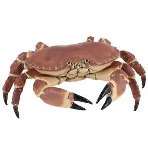 Papo Spielfigur 3465000560478,