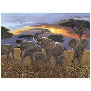 Malen nach Zahlen Bild RAVENSBURGER 4016490912828