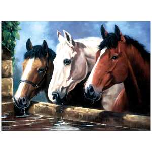 Malen nach Zahlen Bild RAVENSBURGER 4016490912835