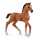 Schleich Horse Club 4059433692166