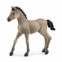 Schleich Horse Club