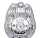 Polizeiabzeichen Silber 8003558032303