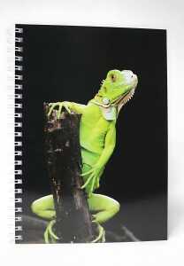 ADINA Premium Collegeblock "Leguan" A4 dotted (gepunktet) 80 Blatt