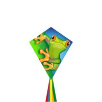 Ecoline Kinderdrachen Eddy Froggy 70 cm