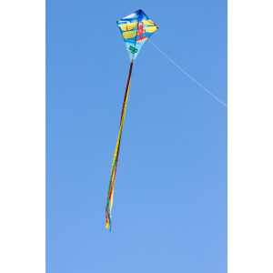 Ecoline: Eddy Classic Biplane 70 cm