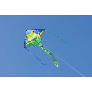 Ecoline: Simple Flyer Froggy 120 cm