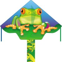 Ecoline Kinderdrachen Simple Flyer Froggy 120 cm