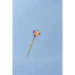 HQ Kinderdrachen Eddy Parrot 4031169307903