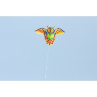 Ecoline Kinderdrachen Flashy Owl Kite