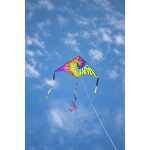 HQ Delta Rainbow Rider 2m 4031169308207