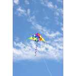 HQ Delta Rainbow Checker 2m 4031169308306