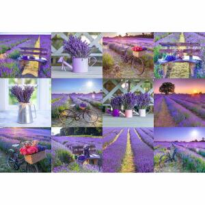 Wooden City Lavender France M 5904151820164