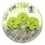 Ursus INTENS.FALTBL.UNI 65G.Ø12CM,100BL.HELLGRÜN