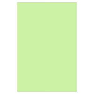 Ursus MOOSGUMMI 2MM,20x30CM,10BG.APFELGRÜN