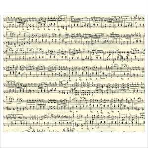 Ursus MOTIV-FOTOKARTON 300G.49,5x68CM,NOTEN