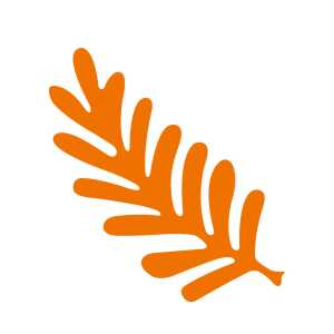 Ursus MOTIV-LOCHER MITTEL,FARNBLATT