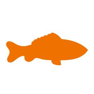 Ursus MOTIV-LOCHER MITTEL,GOLDFISCH