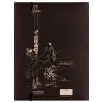 Clairefontaine Ast4 Luppe Sammelmappe GZ 24x32 st