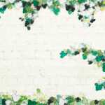 Hedera Korrespondenzset 140x140