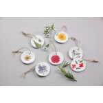 Clairefontaine Trockenblumen gepresst 12St gelb