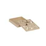 Box Pflanze quadratisch 17x17x3cm