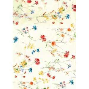 Clairefontaine 851 - Packung mit 20 Blatt 30 x 40 cm