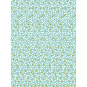 Clairefontaine 861 – 20 Blatt 30 x 40 cm