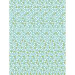 Clairefontaine 861 – 20 Blatt 30 x 40 cm