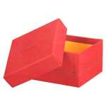 Rhodia Rhodiarama 5 Boxen 44x34x16 koralle