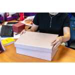 Rhodia Rhodiarama 5 Boxen 44x34x16 rsquarz