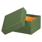 Rhodia Rhodiarama 5 Boxen 44x34x16 salbei