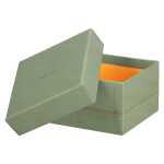 Rhodia Rhodiarama 5 Boxen 44x34x16 SELADON