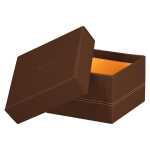 Rhodia Rhodiarama 5 Boxen 44x34x16 BRONZE