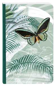 Clairefontaine JH Kladde 9x14 72Bl lin st 3329681157641