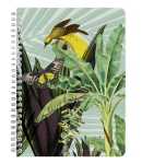 Clairefontaine JH Spiralbuch A5 72Bl lin st 3329681157665