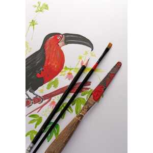 Clairefontaine PaintOn w 250g Pkg 10Bl 70x100cm