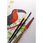 Clairefontaine PaintOn w 250g Pkg 10Bl 70x100cm