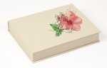 COMPETENCE SET AQUA Box elfbn A5+