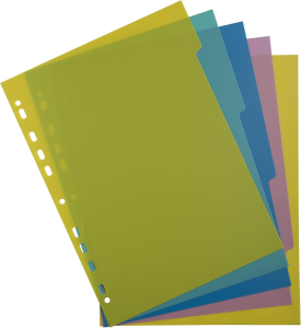 Register A4 FOREVER YOUNG PP 5tlg 300µ