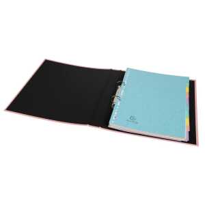 Exacompta Register A4 10tlg Manila 400g AQUAREL