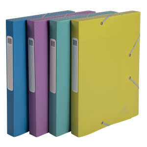 Exacompta Archivbox Cartobox PP A4 25mm Forever Yg