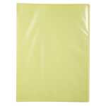 Sichtmappe A4 PP 30H KC Pastell st