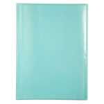 Sichtmappe A4 PP 30H KC Pastell st